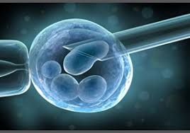 Le cellule staminali possono aiutare nella degenerazione maculare visiva: ecco cosa emerge dalle ultime scoperte Le cellule staminali possono aiutare nella degenerazione maculare visiva: ecco cosa emerge dalle ultime scoperte