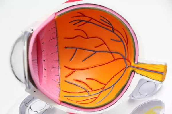Glaucoma: cause, tipologie e parametri da verificare per una corretta diagnosi Glaucoma: cause, tipologie e parametri da verificare per una corretta diagnosi