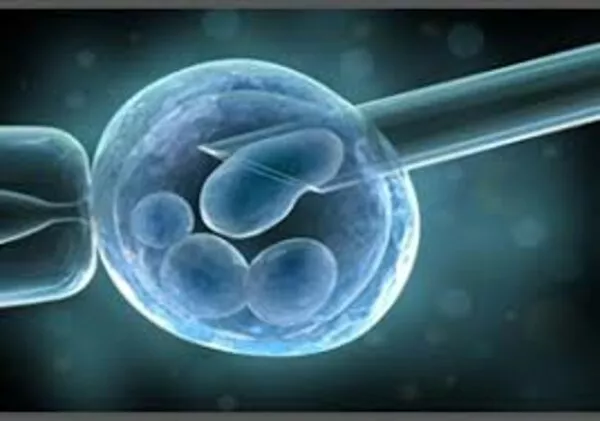 Le cellule staminali possono aiutare nella degenerazione maculare visiva: ecco cosa emerge dalle ultime scoperte Le cellule staminali possono aiutare nella degenerazione maculare visiva: ecco cosa emerge dalle ultime scoperte