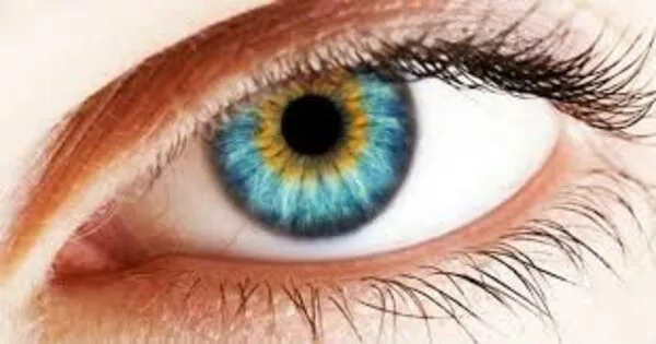 Iridologia: tutte le scomode verità sull’arte di “leggere gli occhi” Iridologia: tutte le scomode verità sull’arte di “leggere gli occhi”