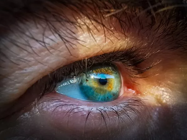 distacco della retina che cos'è e come si previene distacco della retina che cos'è e come si previene