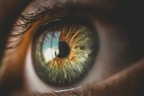allergie primaverili e lenti a contatto allergie primaverili e lenti a contatto
