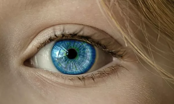 palpebra che trema che cosa significa palpebra che trema che cosa significa