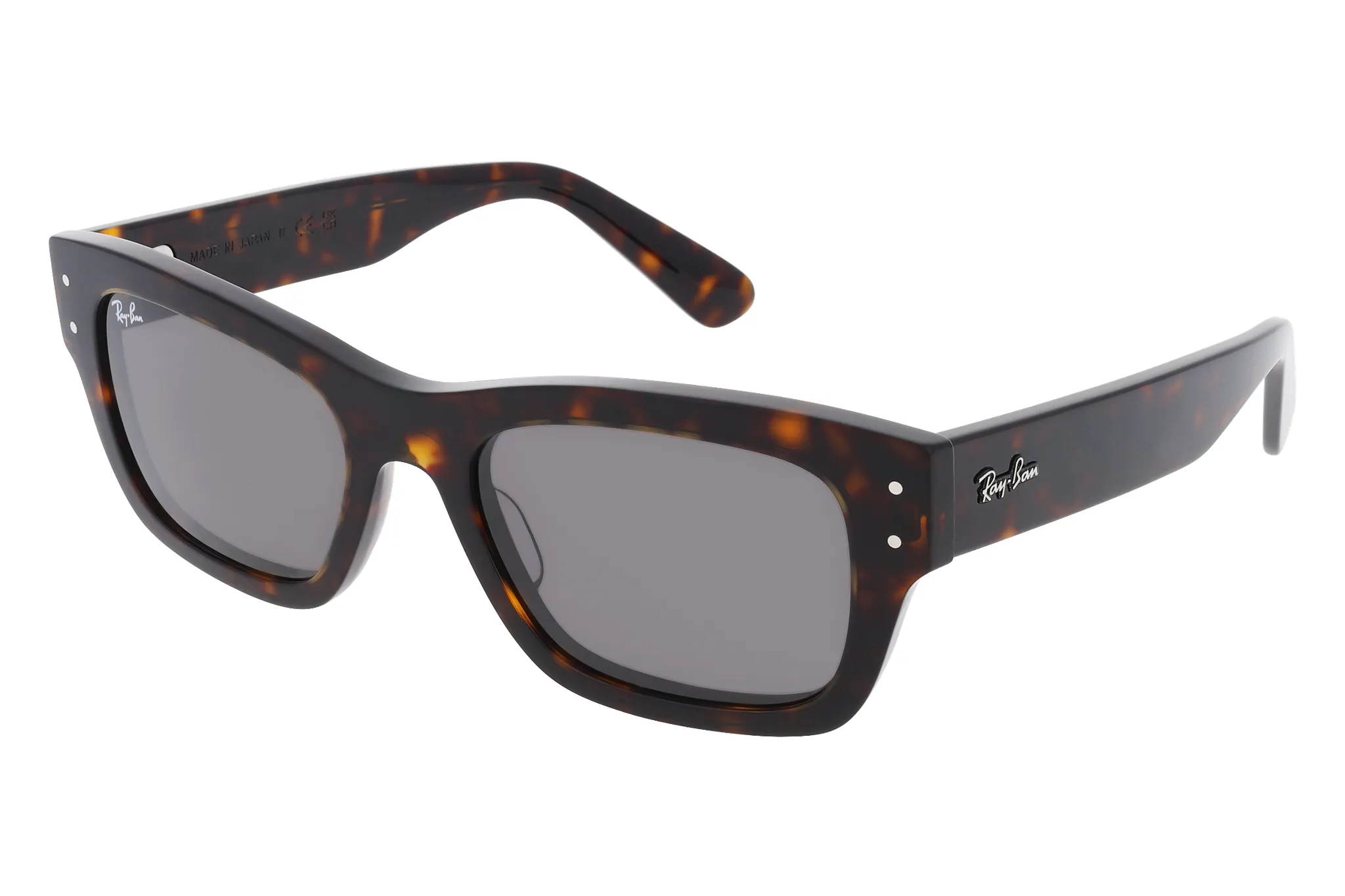 OCCHIALI DA SOLE RAY BAN RB7683S_55