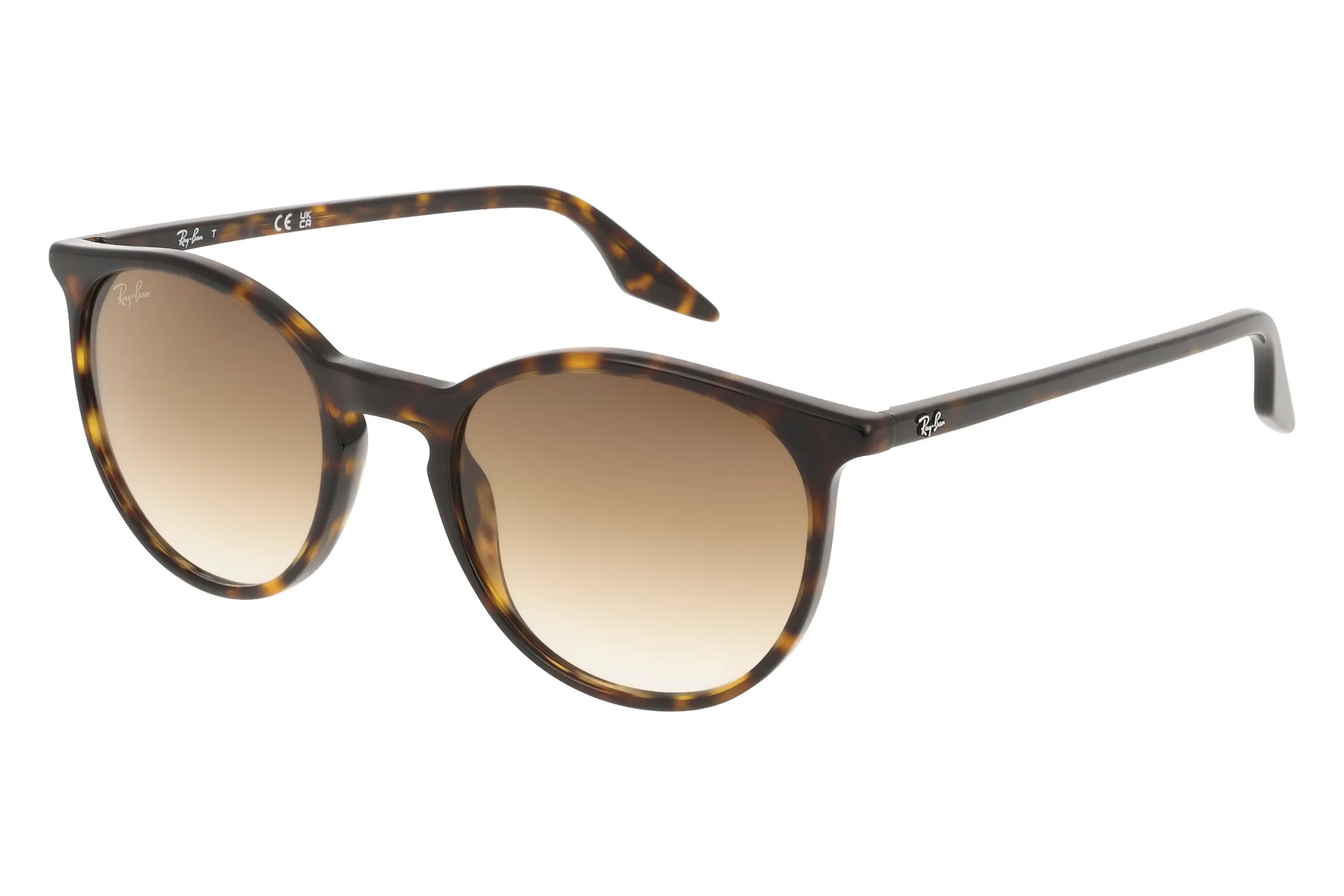 OCCHIALI DA SOLE RAY BAN RB2204_51