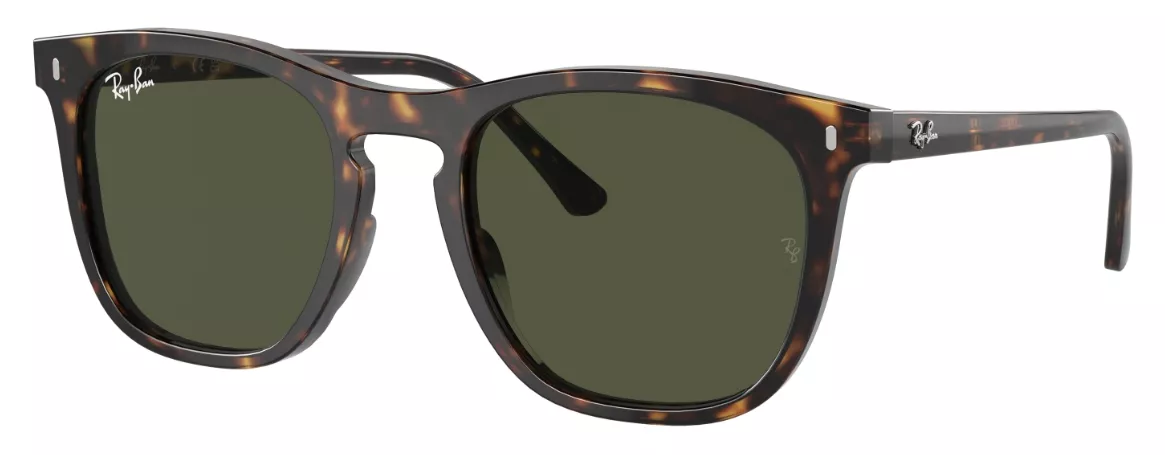 OCCHIALI DA SOLE RAY-BAN RB2210_53