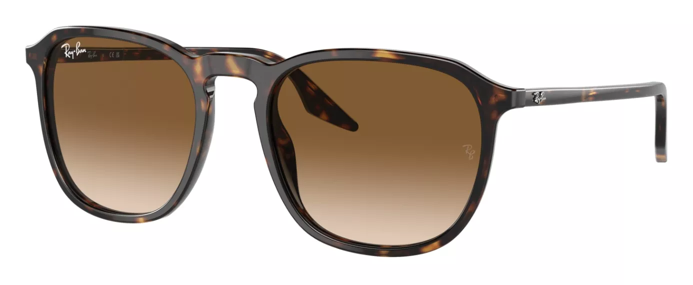 OCCHIALE DA SOLE RAY-BAN RB2203_55